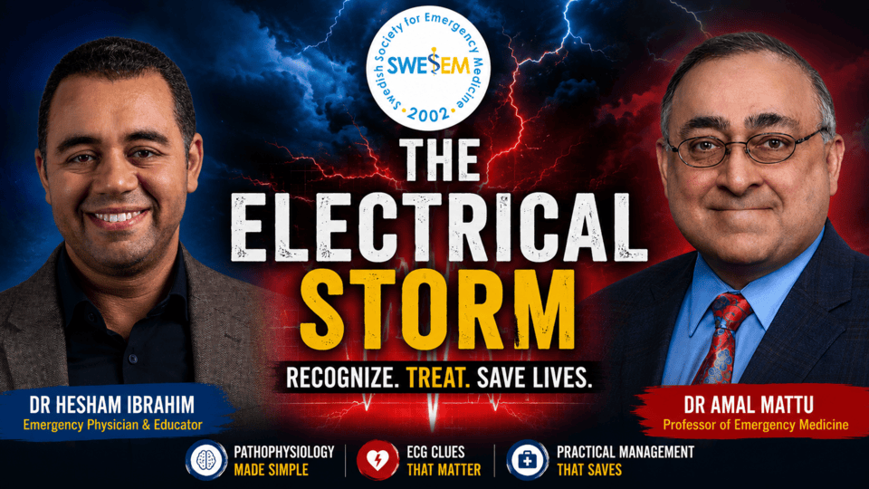 The Electrical Storm: Advanced Management of Refractory VF