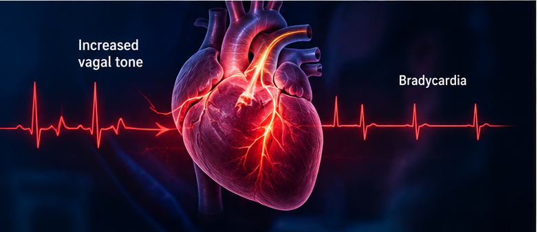 Figure 3: causes of bradycardia after head and facial injury